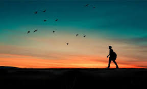 Check spelling or type a new query. How To Start Your Spiritual Journey 7 Illuminating Steps Lonerwolf