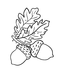Acorn coloring pages for preschoolers to print book page. Pin On Acorns