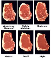 Beef Grades The Cattle Site