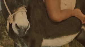 Exclusive animal sex video with a spicy blonde