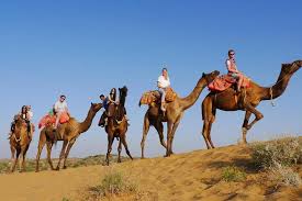Top jodhpur nature & wildlife tours: Camel Safari Half Day Tour In Jodhpur Interval