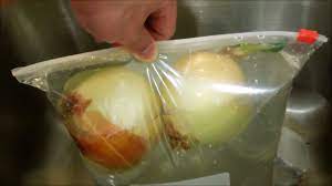 Just before forming bulbs is when more water if required, after that practically none. Growing Yellow Onion From Bulbs Days 1 72 Youtube