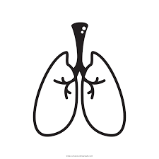Coloring page lungs img 16650 ogrenme okul oncesi. Lungs Coloring Page Ultra Coloring Pages