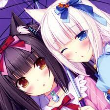 Nekopara: Video Gallery (Sorted by Favorites) | Know Your Meme