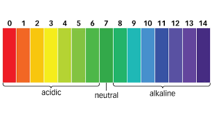 Sodium bisulfate and muriatic acid. How To Lower Ph In Pool Pool Maintenance Swimming Pool Ph Allchlor