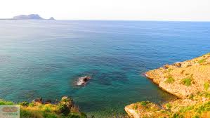 Image result for Milicia