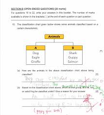 The Ultimate Guide To Tackle Animal Classification Questions