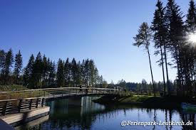 Brucke Beim Market Dome Im Center Parcs Allgau Ferienpark Leutkirch Ferien Bilder Reiseangebote