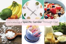 conceiving a specific gender through diet baby foode