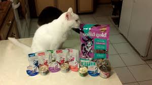 Each product utilizes a unique set of ingredients to achieve a desired nutritional profile. Solid Gold Let S Stay In Indoor Dry Cat Food Review Youtube