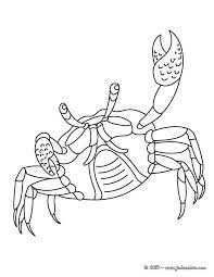 coloriage realiste d un crabe a imprimer gratuitement ou colorier en ligne sur hellokids com animal coloring pages sea animals reine et licorne