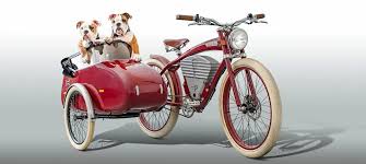 Image result for bicycle sidecar