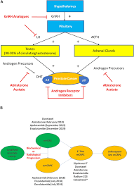 Iterative gurc discussions led to the development of two mpca algorithms: Metastatic Hormone Sensitive Prostate Cancer Mhspc Advances And Treatment Strategies In The First Line Setting Springerlink