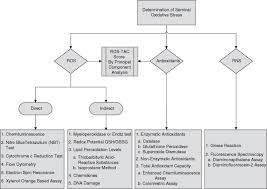 Determination Of Seminal Oxidants Reactive Oxygen Species