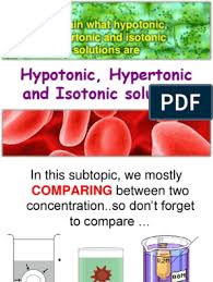 Shoutout to my amazing research mentor dr. Animal Cell Immersed In Hypotonic Solution