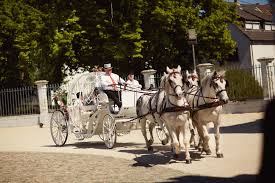 Im mittelpunkt steht das schwulenpaar matthias mangiapane und hubert fella. Hubert Und Matthias So Romantisch Was Das Ja Wort