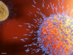 While the vaccination process is underway, every new yorker should wear a mask, social distance and avoid. Meet The Mrna Vaccine Rookies Aiming To Take Down Covid 19 Cas
