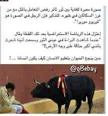 Pin By Ndoo Mohammad On صور مميزة