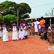 Image result for Crotonogynopsis australis