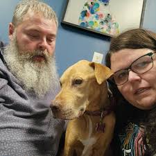 THE BEST 10 Pet Cremation Services near Belmont, NC