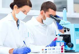 Moleküler biyoloji ve genetik bölümü olan üniversiteler. Molekuler Biyoloji Ve Genetik Bolumu 2021 Taban Puanlari Ve Basari Siralamalari Onedio Com