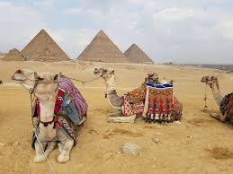 Entry to meccathe message 1977 musicmaurice jarremusic video of the prophet mohammadmusic video muhammad le message (film)the royal philharmonic. Cairo Jewel S Travel Adventures