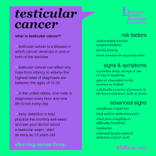 The following symptoms can be signs of testicular cancer or of another condition. Self Exam Images
