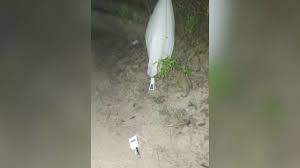 आसमान से गिरे गुब्बारे पर लिखा था उत्तरी कोरिया, नजदीक से देखने पर हैरान रह  गए लोग, अधिकारी कर रहे जांच - North Korea was written on balloon that fell  from the