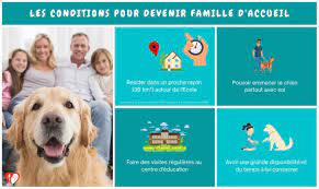 Check spelling or type a new query. Comment Adopter Un Chien D Aveugle