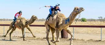 Book your vacation to bedourie today. Bedourie And Mt Isa Track Trailer