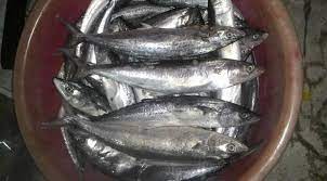 Tumbuk hingga halus dan tambahkan sedikit air. Cara Membuat Ikan Tenggiri Jeruk Di Rumah Terbukti Lebih Jimat Kebersihan Terjamin Semua Semua Semuanya