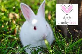 The cosmetic industry has been dealing with controversy when addressing the use of some of the compounds such as parabens. Dove Bans Tests On Animals Added To Peta S Cruelty Free Database Peta2