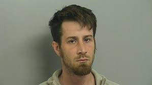 Man arrested for animal cruelty after underweight dog found in below  freezing temperatures