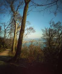 Ullie On Instagram Baldeneysee Essenruhr Heimatpottential Marzsonne Sunnysunday Bluesky Wald Forest Waldweg Landscape Pictures Landscape Instagram