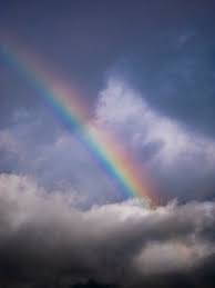 Beautiful hd sun, sky and clouds background wallpaper images collection for desktop, pc, laptop, mobile phone, tablet and other devices. 1000 Rainbow Sky Pictures Download Free Images On Unsplash
