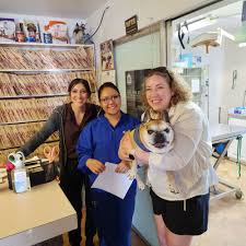 THE BEST 10 Veterinarians in MILAN, NM