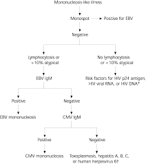 The infection classically occurs in teenagers and young adults, hence its other name. Cytomegalovirus American Family Physician