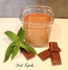 Cremes Chocolat Menthe A La Multi Delices Creme Au Chocolat Recette Yaourt Avec Yaourtiere Creme Dessert Chocolat