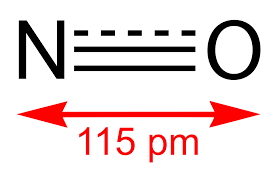 Check spelling or type a new query. Nitric Oxide Wikipedia