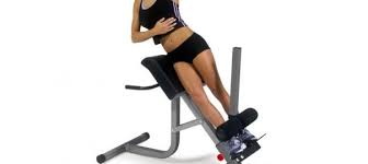 One tends to make sure your pricing when you use these banners are becoming pull up bar roman chair very lucrative in promoting like in the food which causes you to gain and ab muscles. Roman Chairs Workout Guide Garage Gym Builder