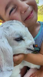 Help needed for putting away hay