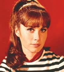 Welcome to Fans of The Action Kids