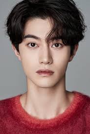 Love in the moonlight | moonlight drawn by clouds 구르미 그린 달빛. Kwak Dong Yeon Profile Updated