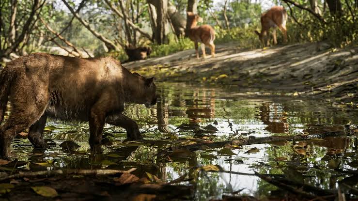 Grand Theft Auto VI will feature incredible detail in animals and nature.