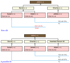 debs delvings in genealogy dna simulation added to dna