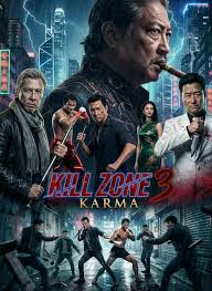 Kill Zone 3: Karma - Epic Martial Arts Showdown in 2026 | TikTok