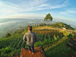 Gunung putri is a district (indonesian: O Xrhsths Bandung Banget Sto Twitter Bandungbanget From Irfanpermana15 At Gunung Putri Lembang Bandung Explorebandung Discoverbandung