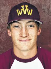 2017 Times Leader WVC Baseball All-Stars