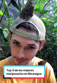 ¿Ya conocías estos mariposarios? #Nicaragua #Managua #505 #naturaleza  #mariposa #parque #destino #lugares #paisajes