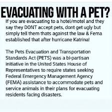 Pin On Group Board For Favorite Pets Animals